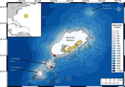 Seasonal and diel patterns in singing activity of humpback whales migrating through Bermuda